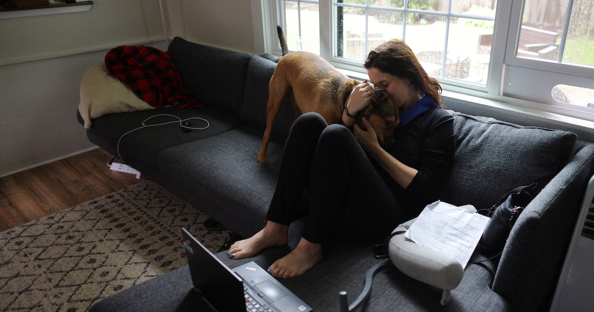 Exchange of anti -anti -dog -bacteria between dogs, cats and humans “possible”