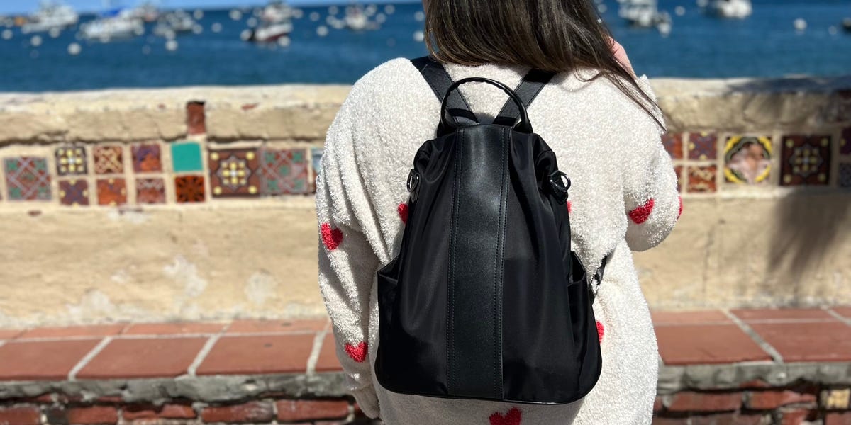 $25 Anti-Theft Travel Backpack Review – ryan