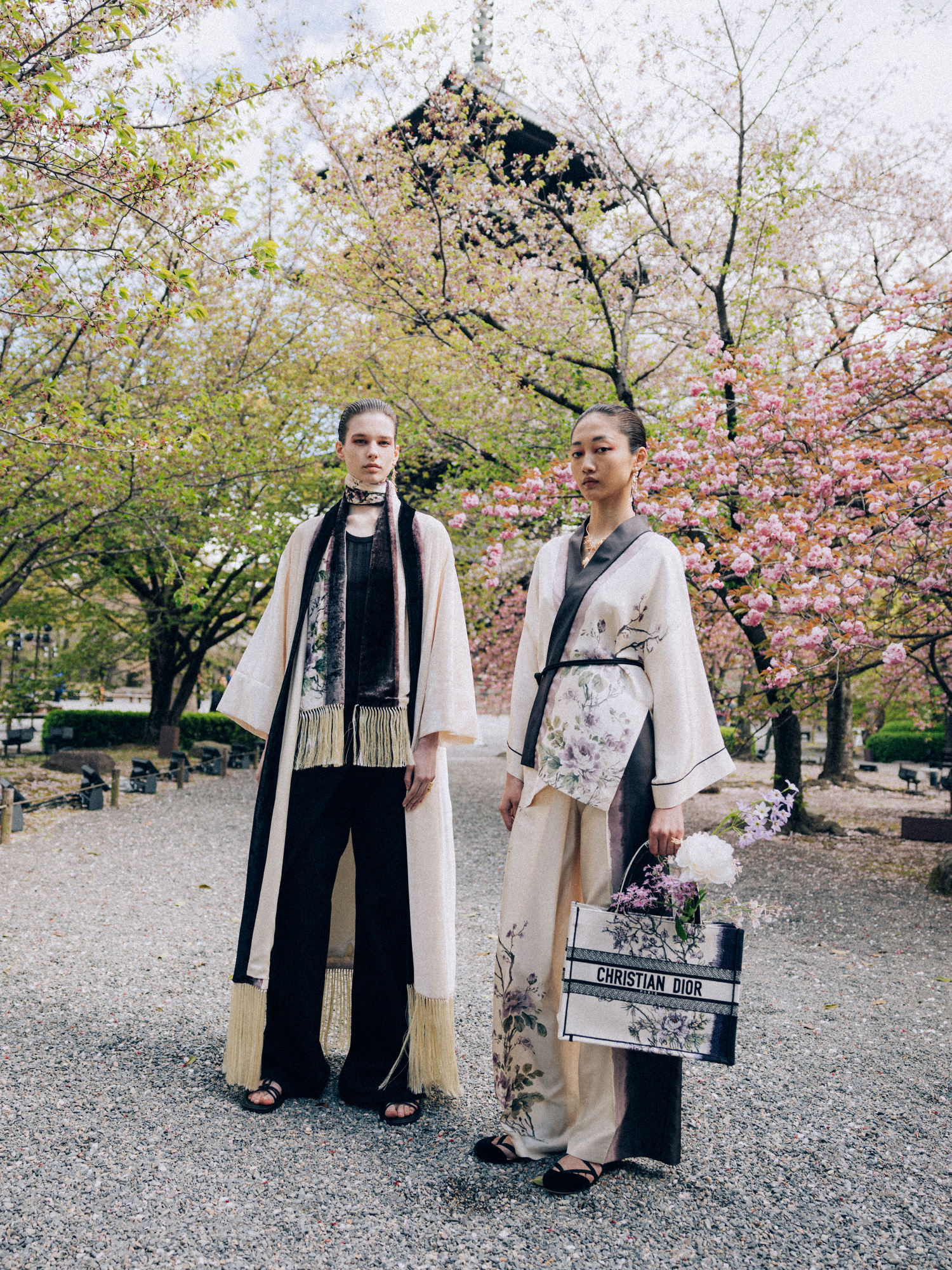 Kyoto in Full Blossom – ryan