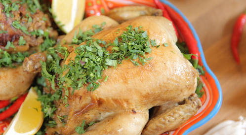 Chicken filled with mushrooms – Web medicine