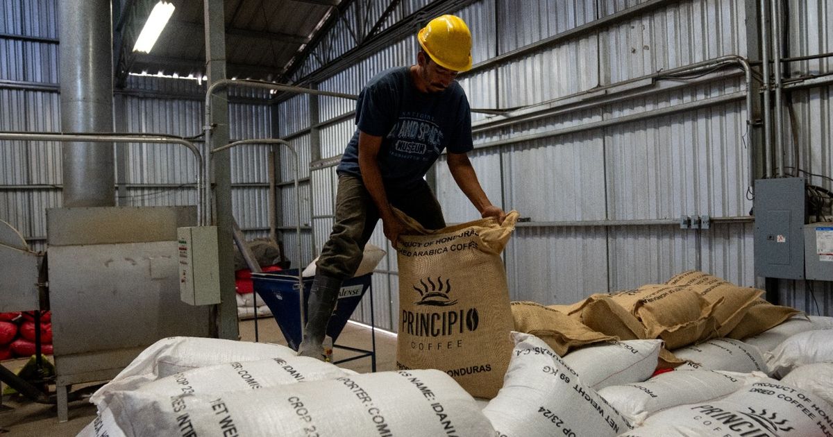 Coffee prices fluctuations should look for alternative ways to hedge
