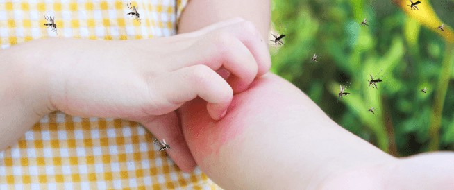 Dengue fever: symptoms, causes and treatment