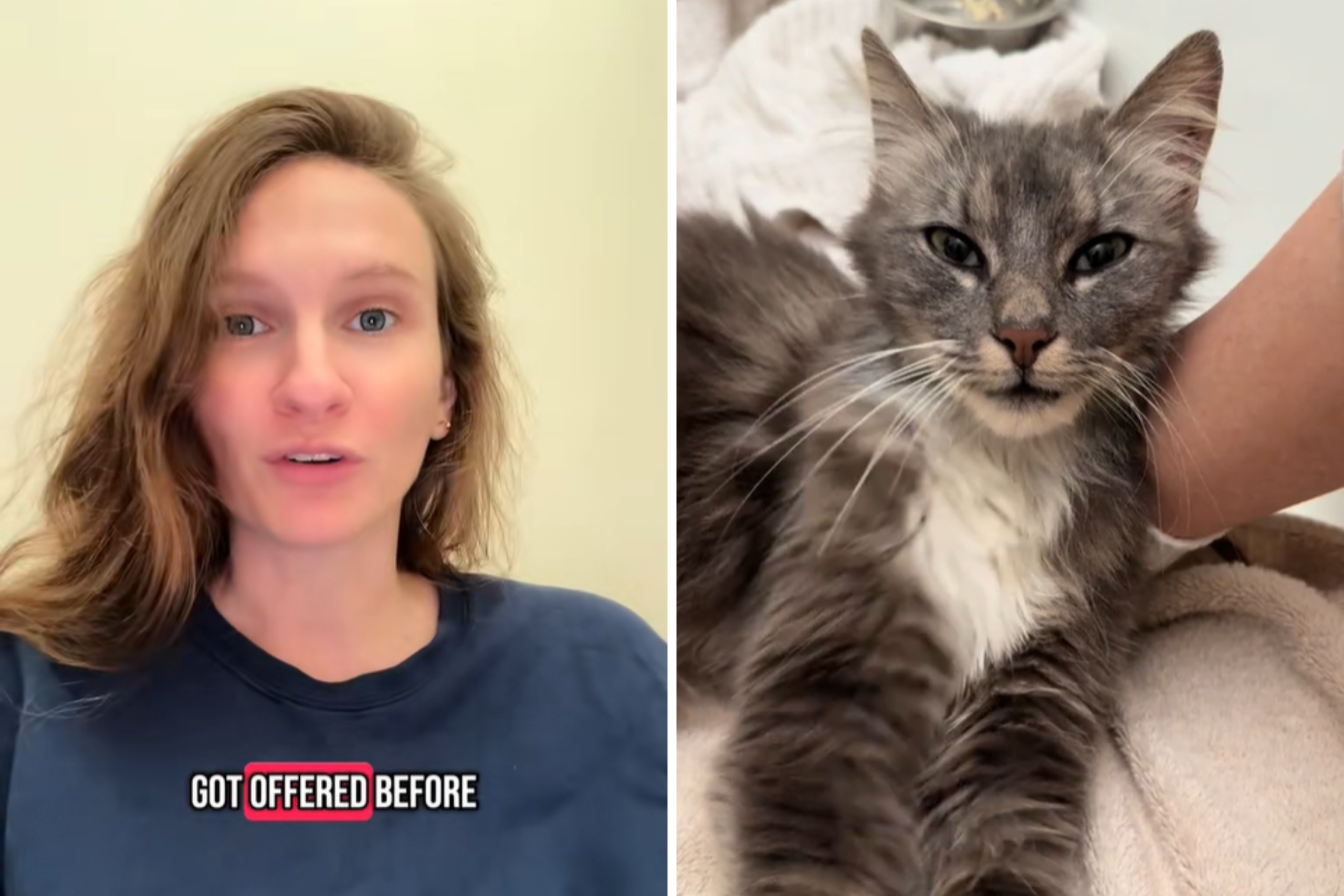 Woman Allergic to Cats Gets Life-Changing Surprise When She Picks Up U-Haul – ryan