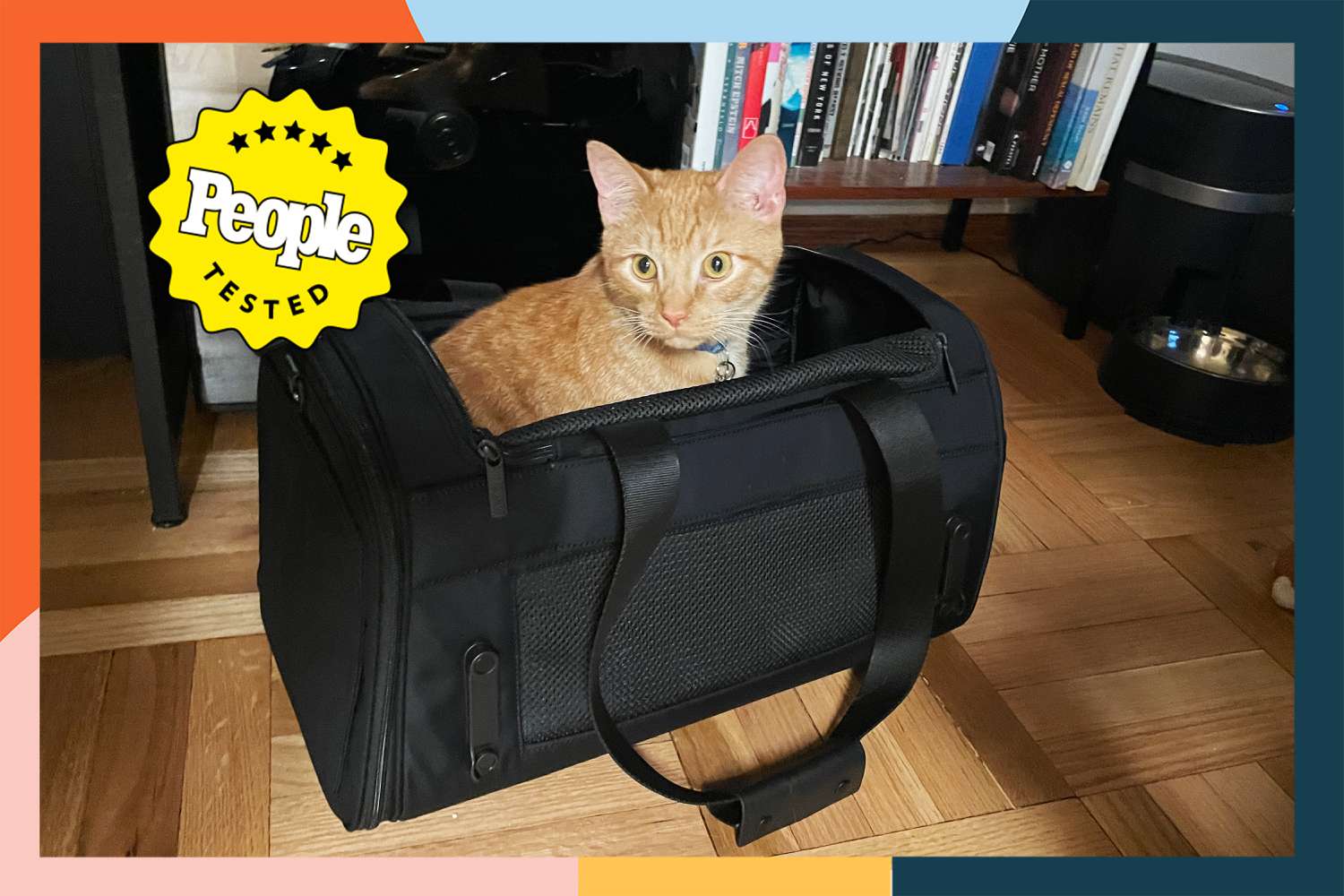 The 10 Best Cat Carriers of 2025, Tested by Our Cats – ryan
