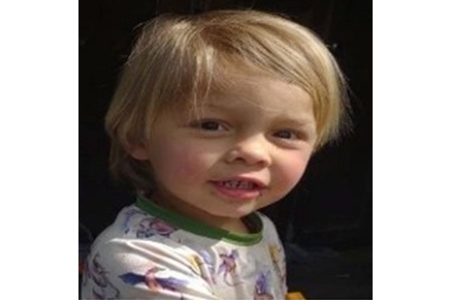 Missing Toddler Rescued by Rancher’s Dog in Arizona Wilderness – ryan