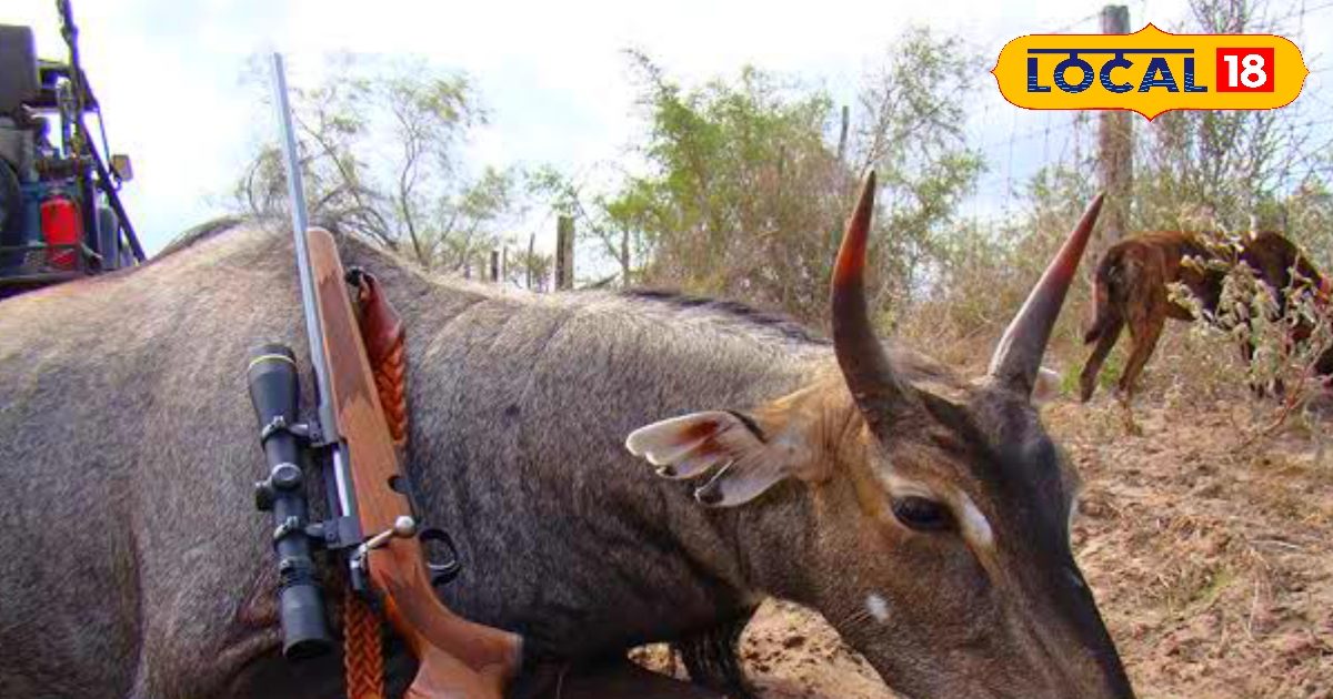 Rupees will be received for the death of these two animals in Patna, shooter will be called, this order has been issued