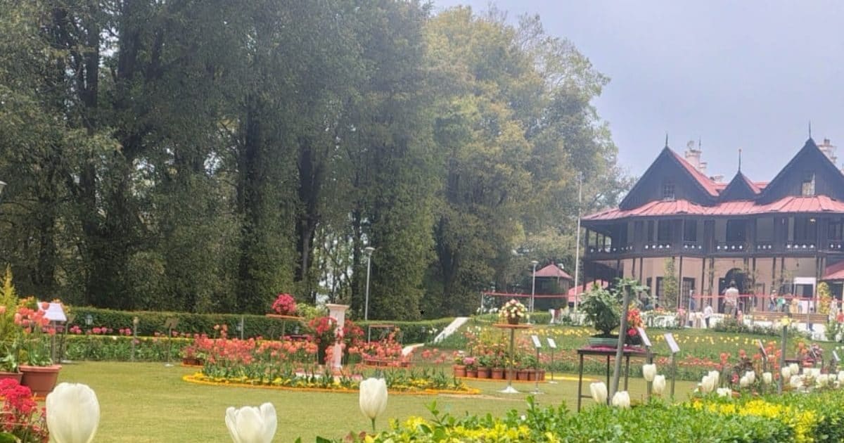 Crowd broke in the presidential home, faces bloomed from free access in the garden festival, tulip -colored color