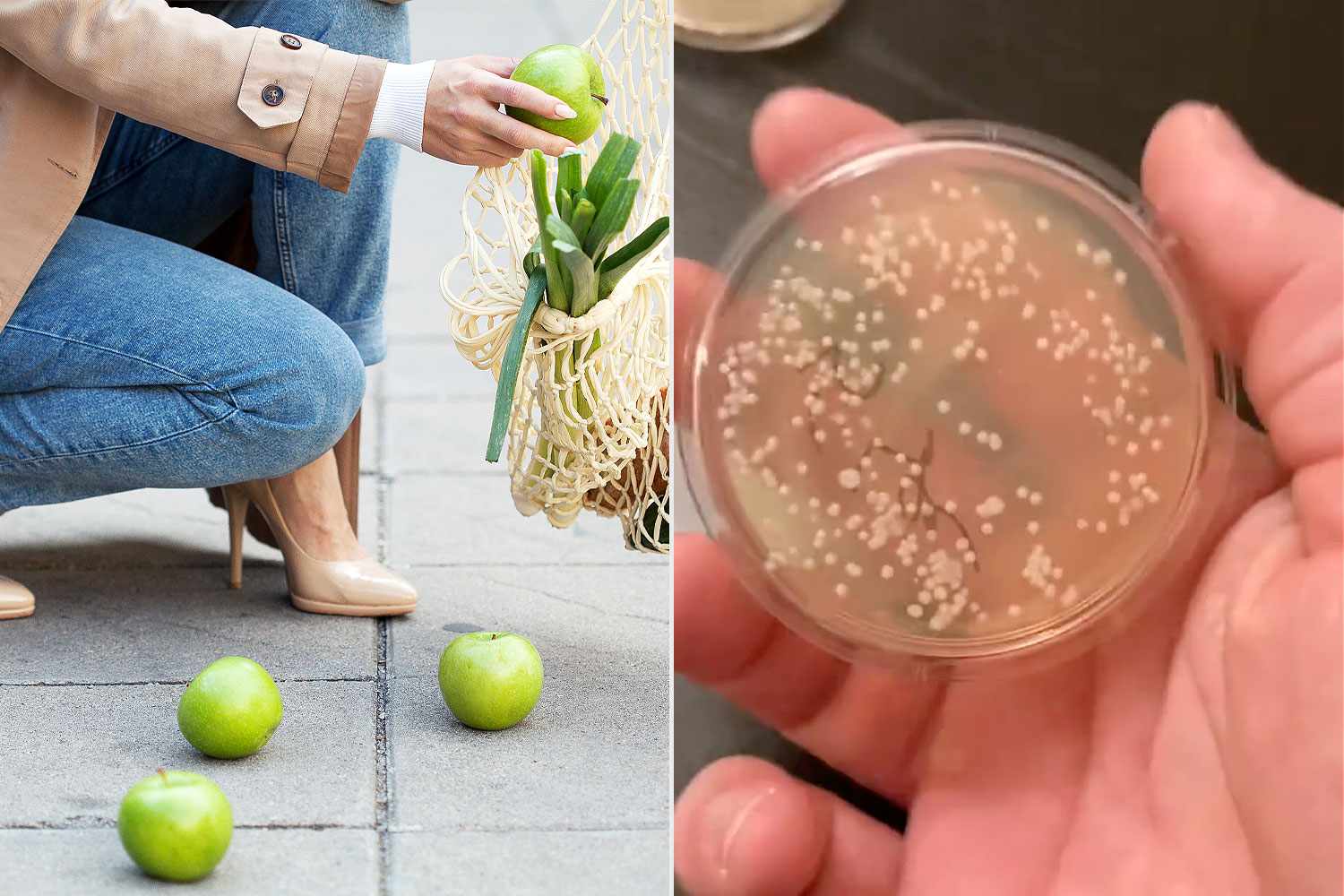 Microbiologist Puts the 5-Second Rule to the Test – ryan