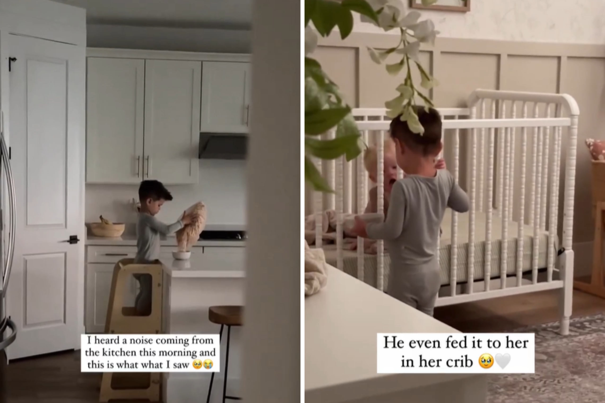 Dad Hears Noise Coming From Kitchen in Morning, Can’t Believe What He Sees – ryan