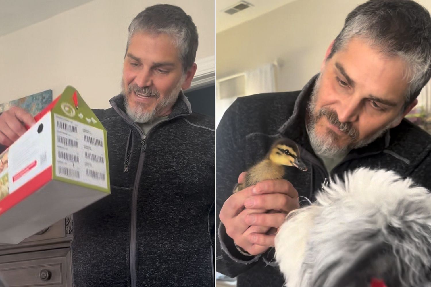 Man Leaves to Get His Wife Lunch, Then Comes Back with a Duckling (Exclusive) – ryan