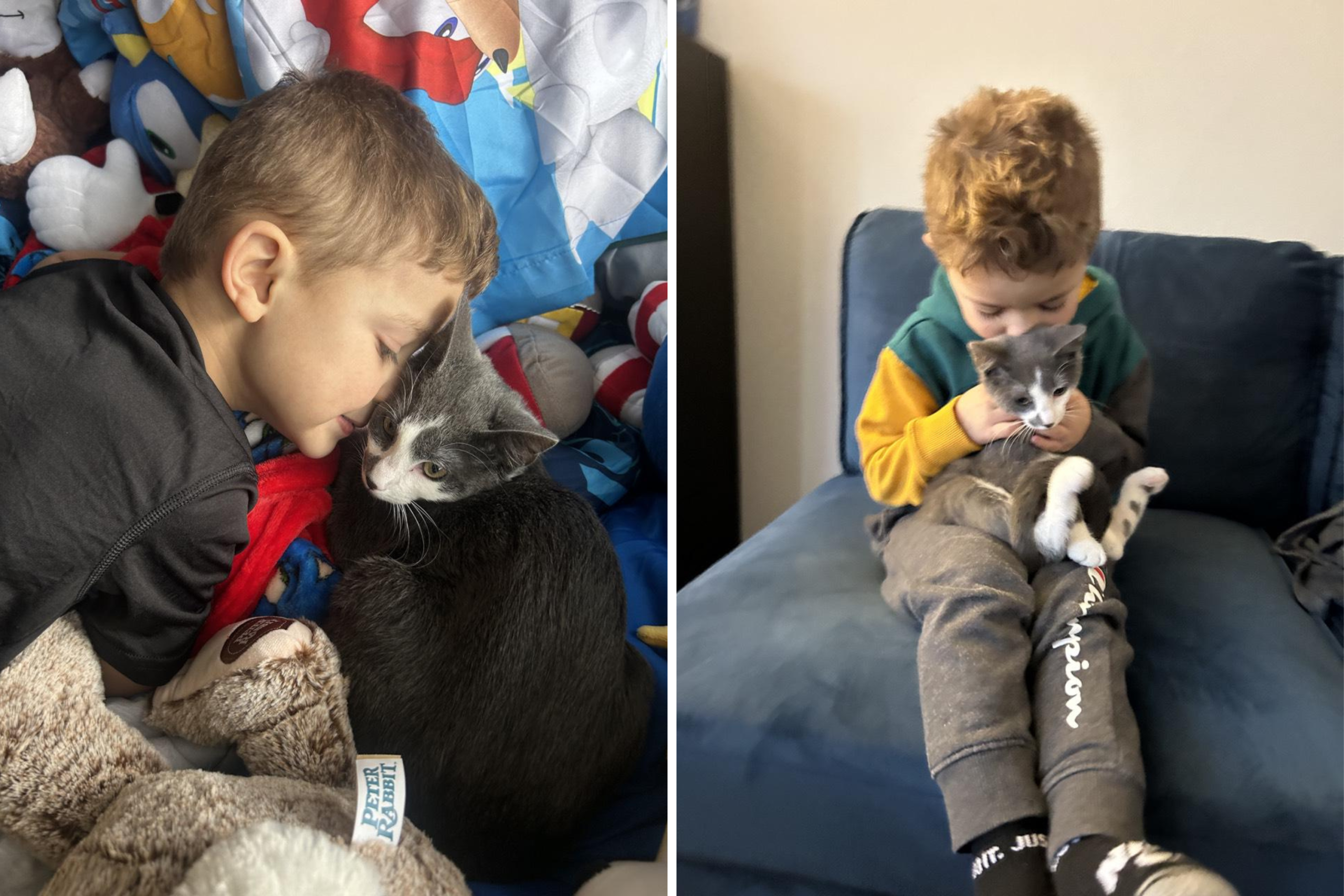 Boy With Autism Has Difficulty Showing Affection, Then Family Adopts Kitten – ryan