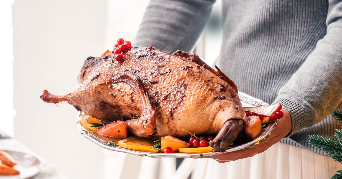 Stuffed ducks – Web medicine