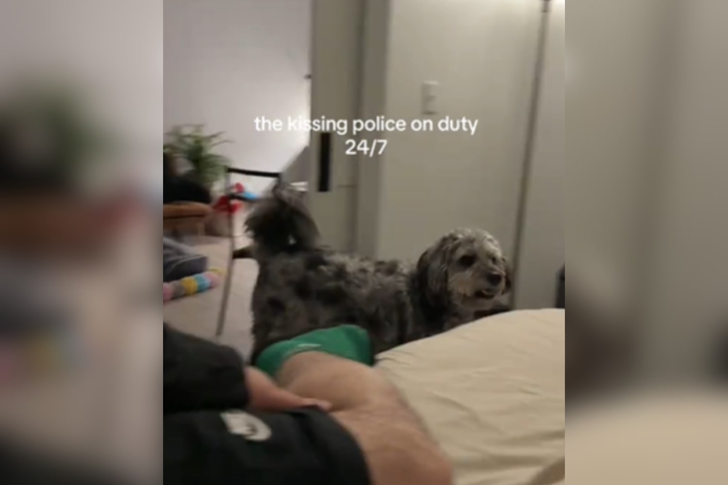 ‘Police on Duty 24/7’ – ryan