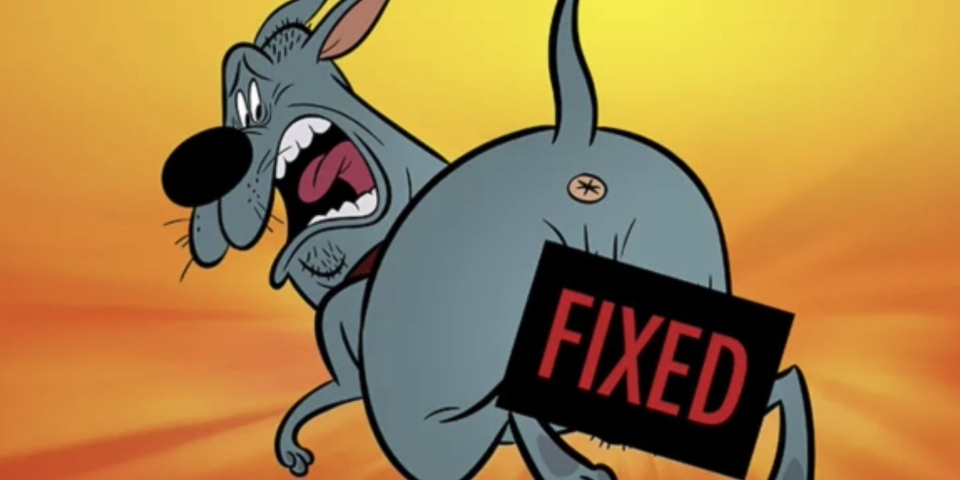 R-Rated Animated Movie That Netflix Saved From Warner Bros. Gets First Images & Release Date – ryan