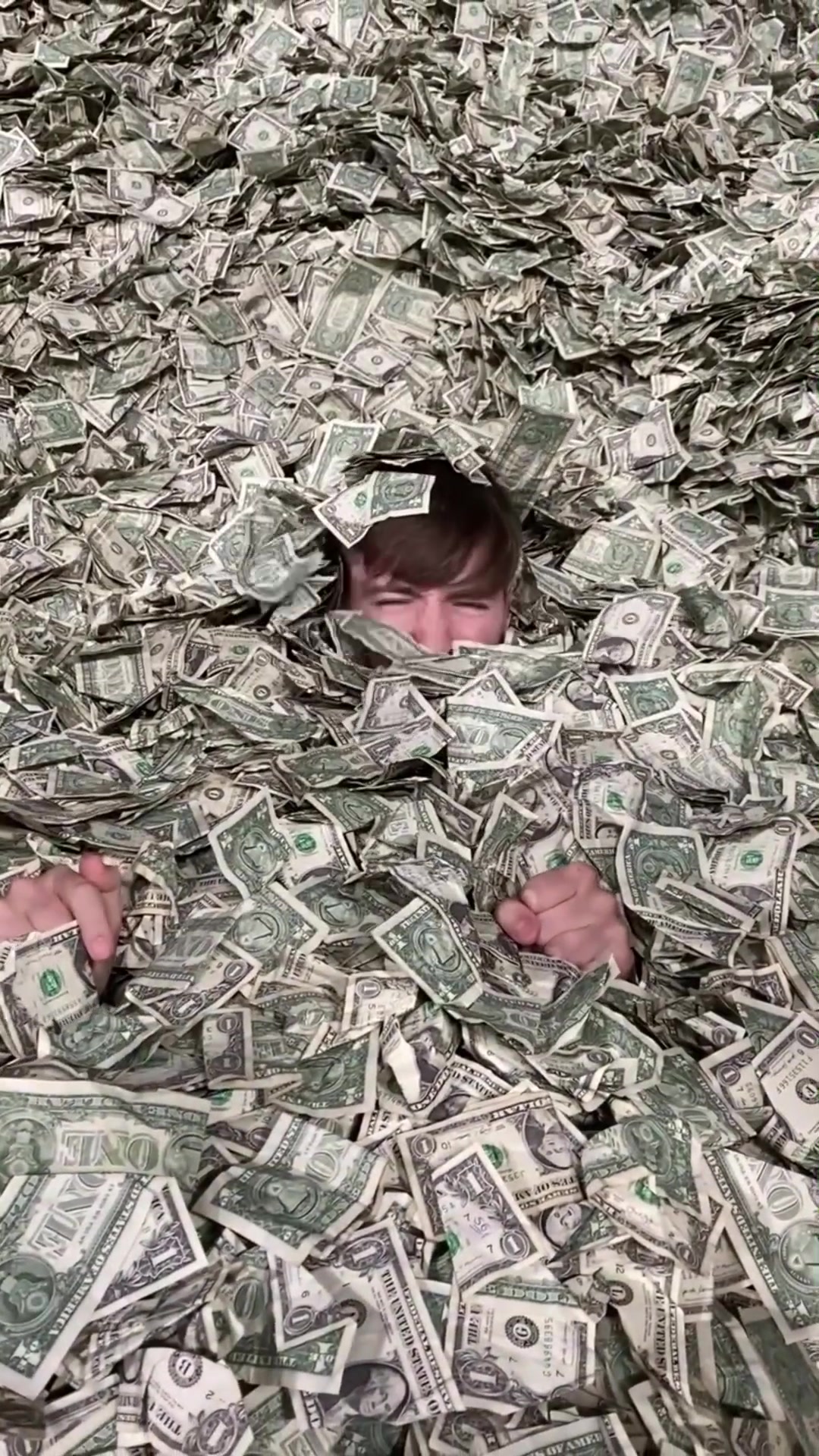 MrBeast swimming in Dollar Pool. MrBeast Mr_Beast 𝔽𝕒𝕫𝕒𝕝 ℍ… – ryan