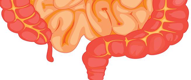 Feces pale: symptoms, causes and treatment.