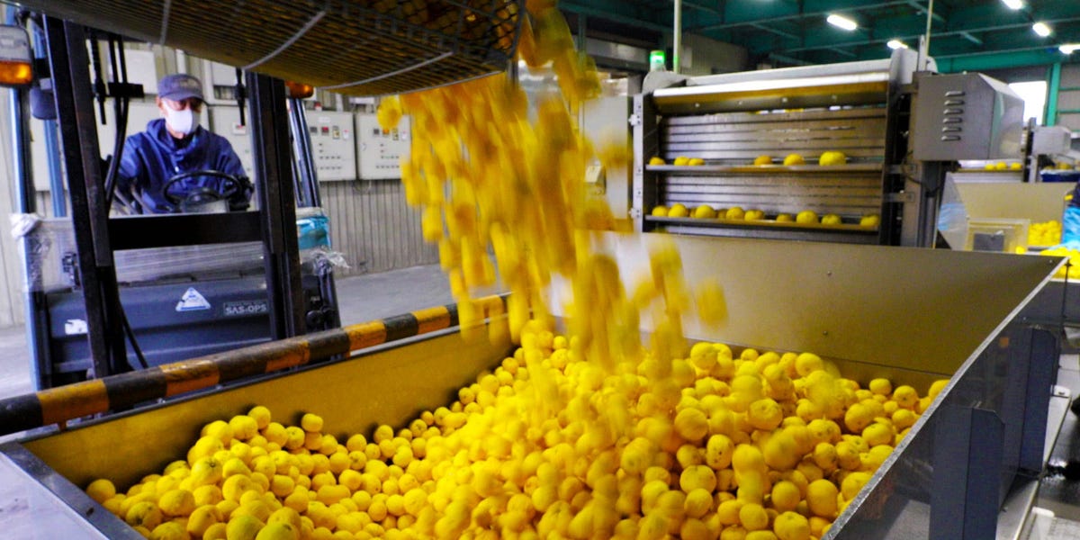 Why Fresh Yuzu Is so Expensive in the US – ryan