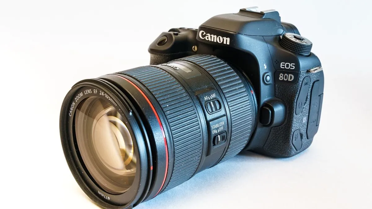 Which Canon DSLR cameras are the best choice for beginners and professionals?
