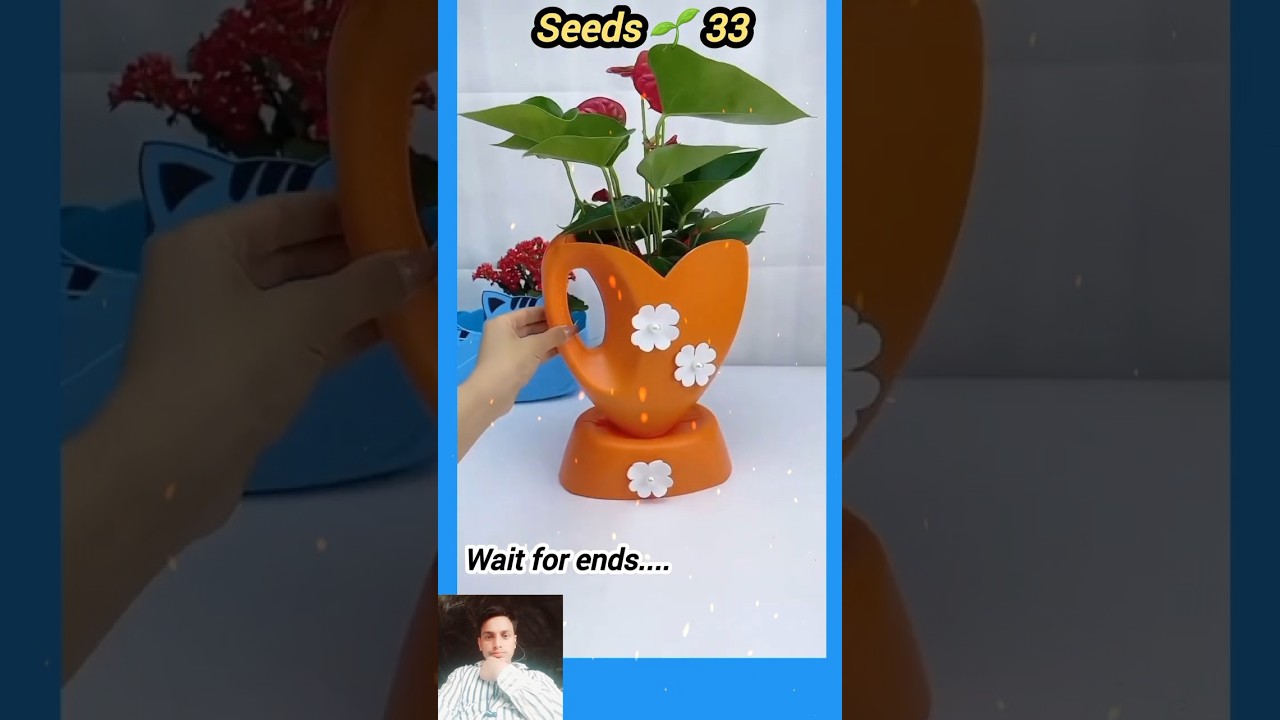 Bottle craft garden idea | বতোল বাগান #seedsplants33 #shorts #garden #craft #Bottle #bottlegarden – ryan
