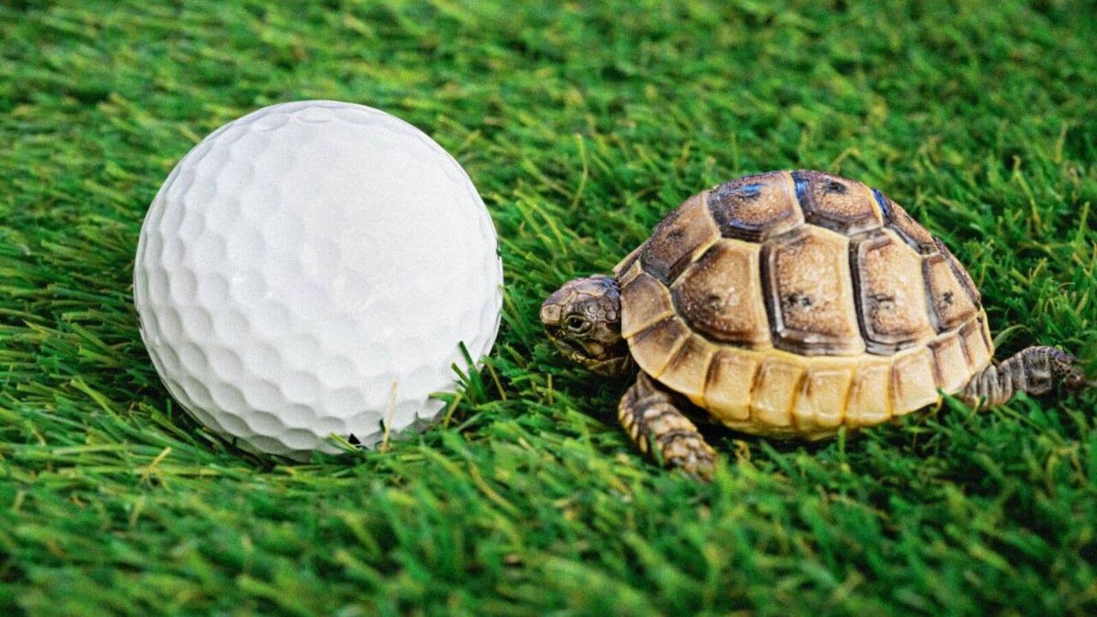 The suppression of slow golfers is finally here