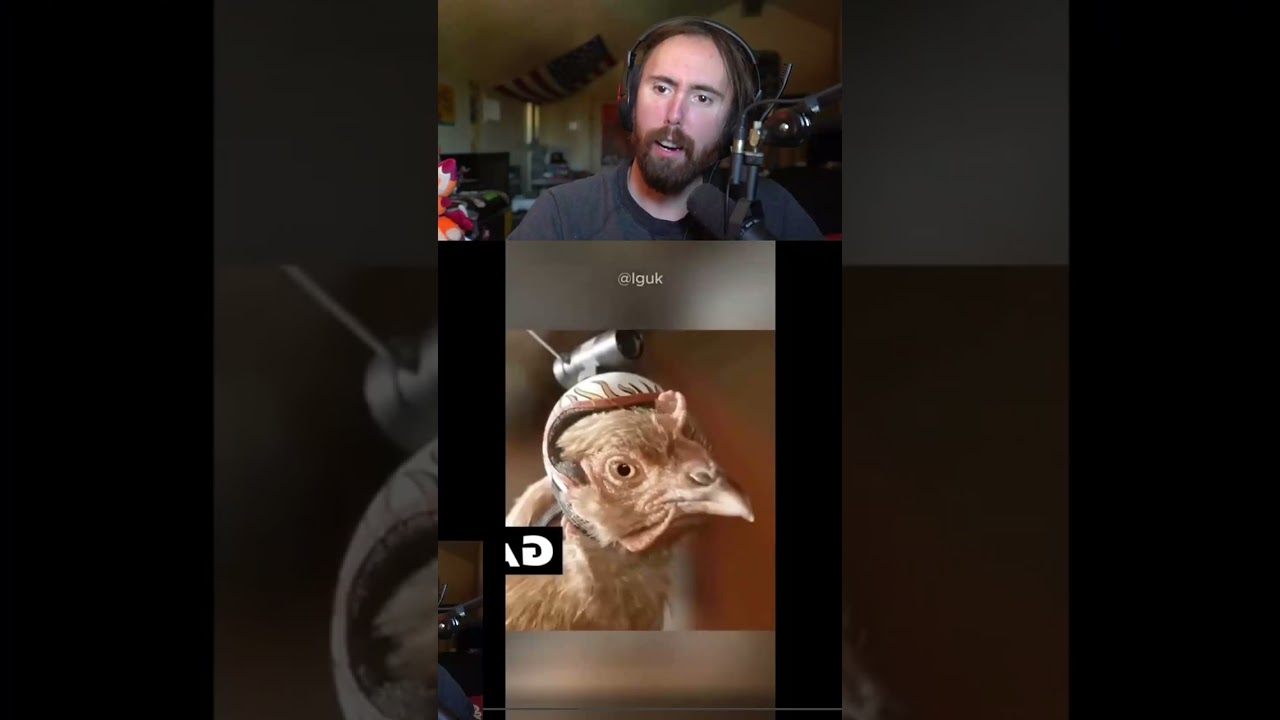 Asmon Dies Laughing Because of This Chicken 😂😂 #asmongold #twitch #reacts #news #drama #shorts – ryan