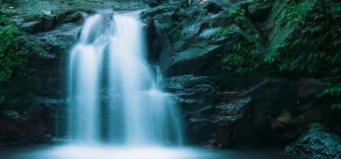 10 Stunning National Parks and Sanctuaries – ryan