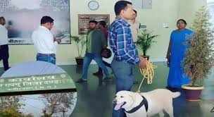 False seems to blow up Kawardha Collectorate of RDX, know what the reason for false email was