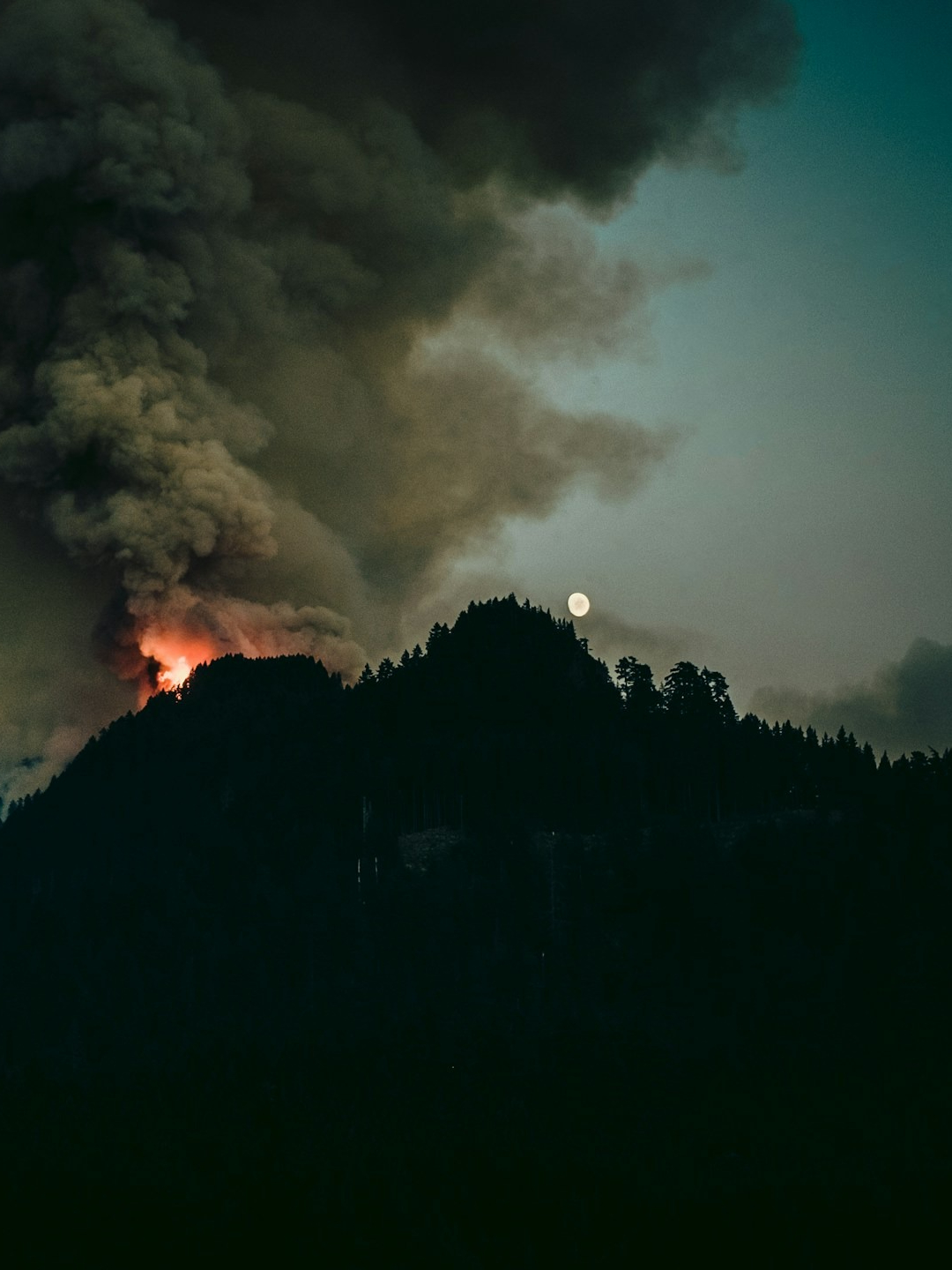 10 biggest incidents of fire in forests