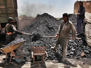 Center Reviews Registration Fees for Coal Importers, who do the ease of business