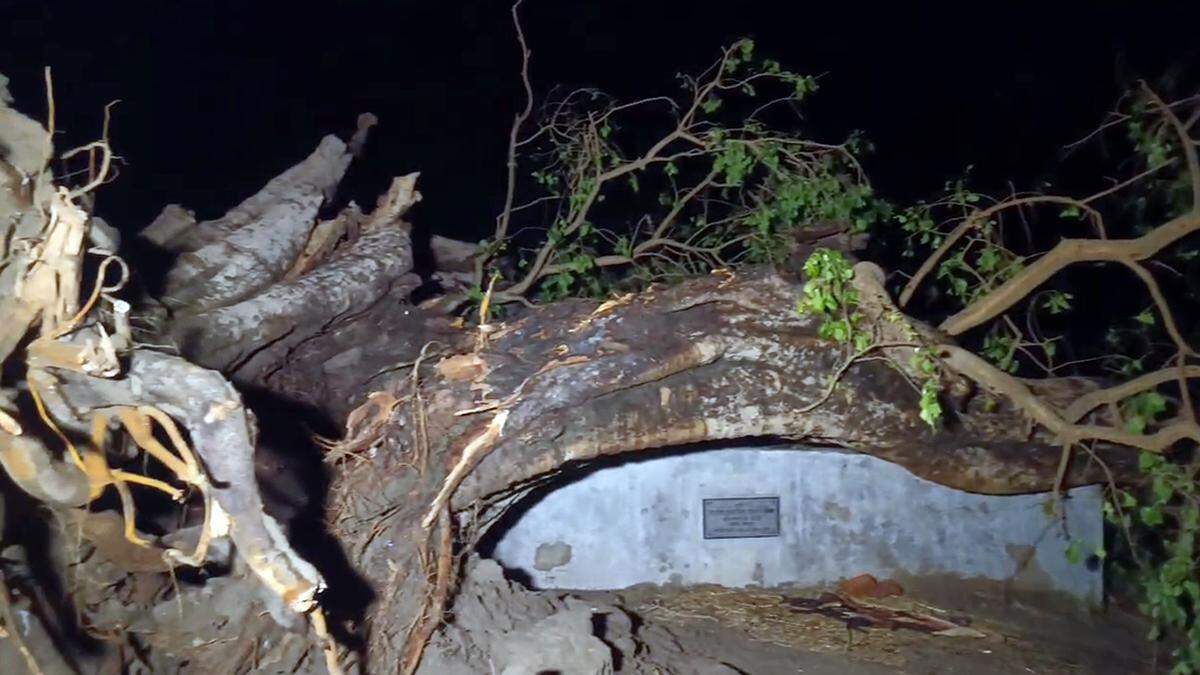 At least 25 people were killed due to lightning and hailstorm in many districts bihar