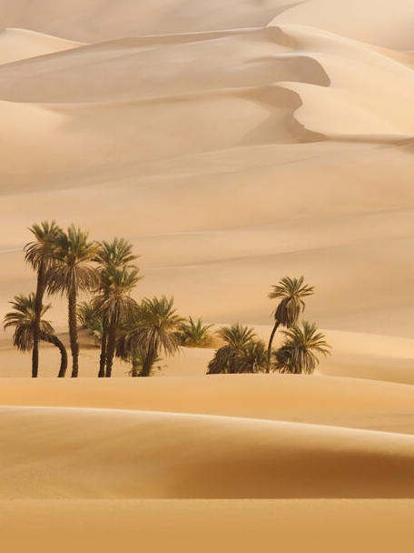Earth’s 10 largest desert