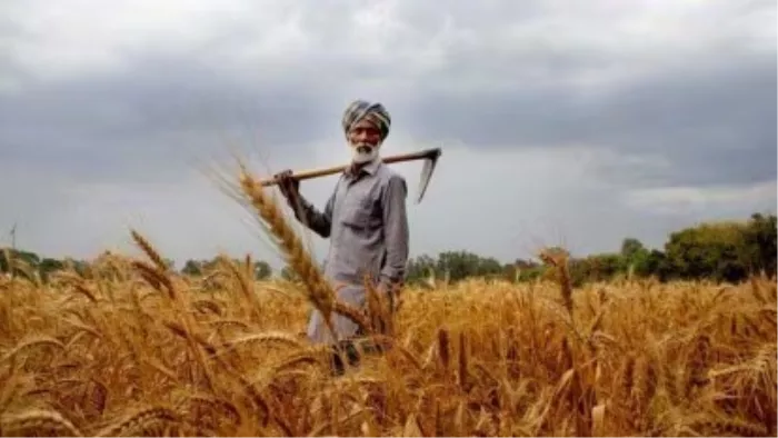 Agricultural schemes have received large gifts in Jammu and Kashmir, more than Rs 300 crore