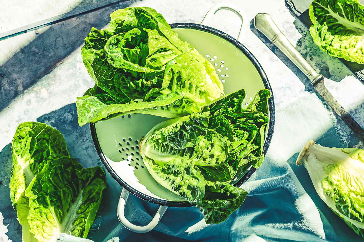 Deadly E. Coli Outbreak Linked To Lettuce Found in 15 States – ryan