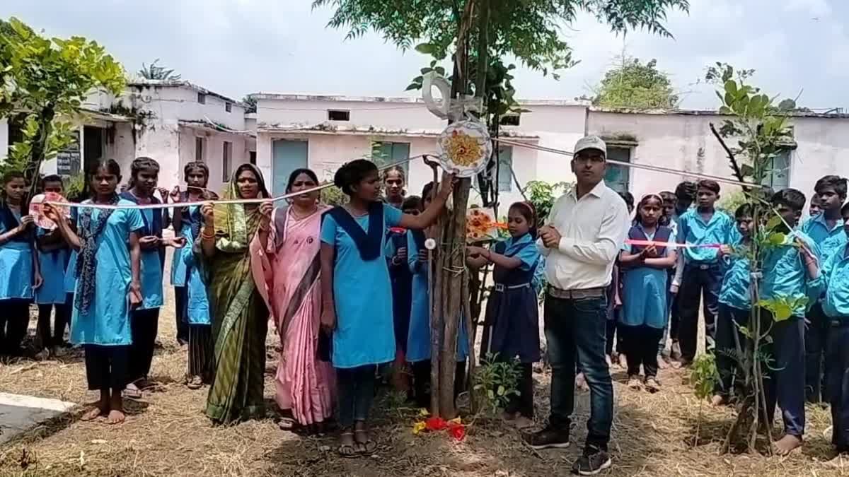 This girl considers trees as her brother, Rakhi binds every year, know what the reason is