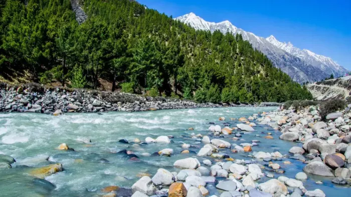 Himachal News: Painful death of the tourist in Delhi after falling into a deep gorge in Kinnraur, the body took out after hard work – Delhi tourist died tragically after falling into a deep gorge after a lot of effort