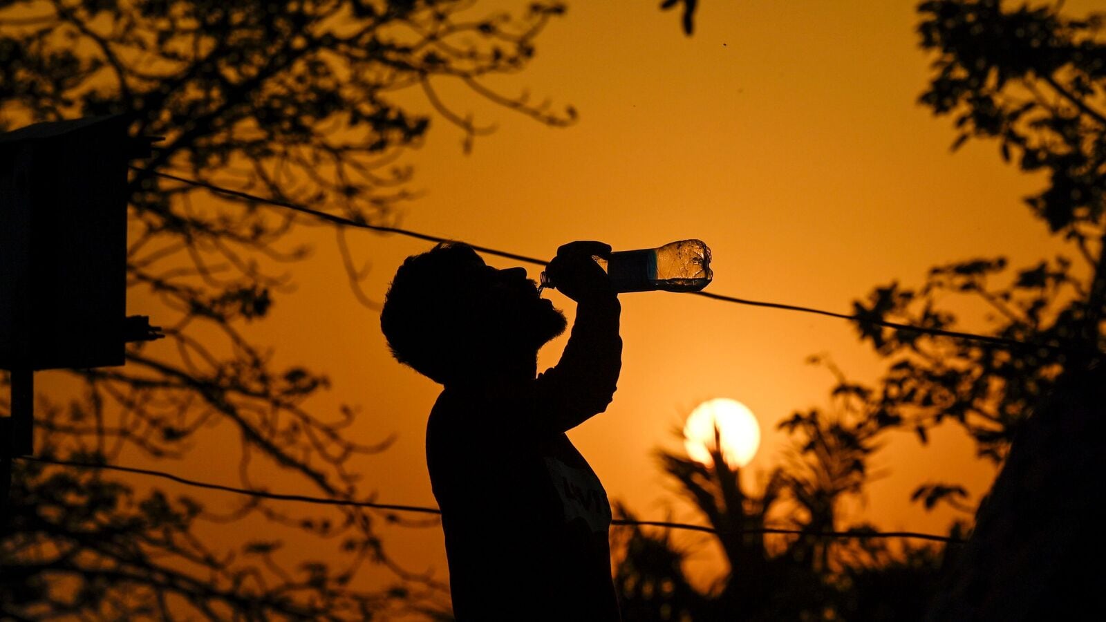 Again in Delhi: Will the cool relief last or a burning heat wave on the way? Here’s what IMD says | Today news