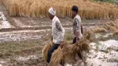 Punjab burns here due to the warm -up, today in 7 states rain for farmers