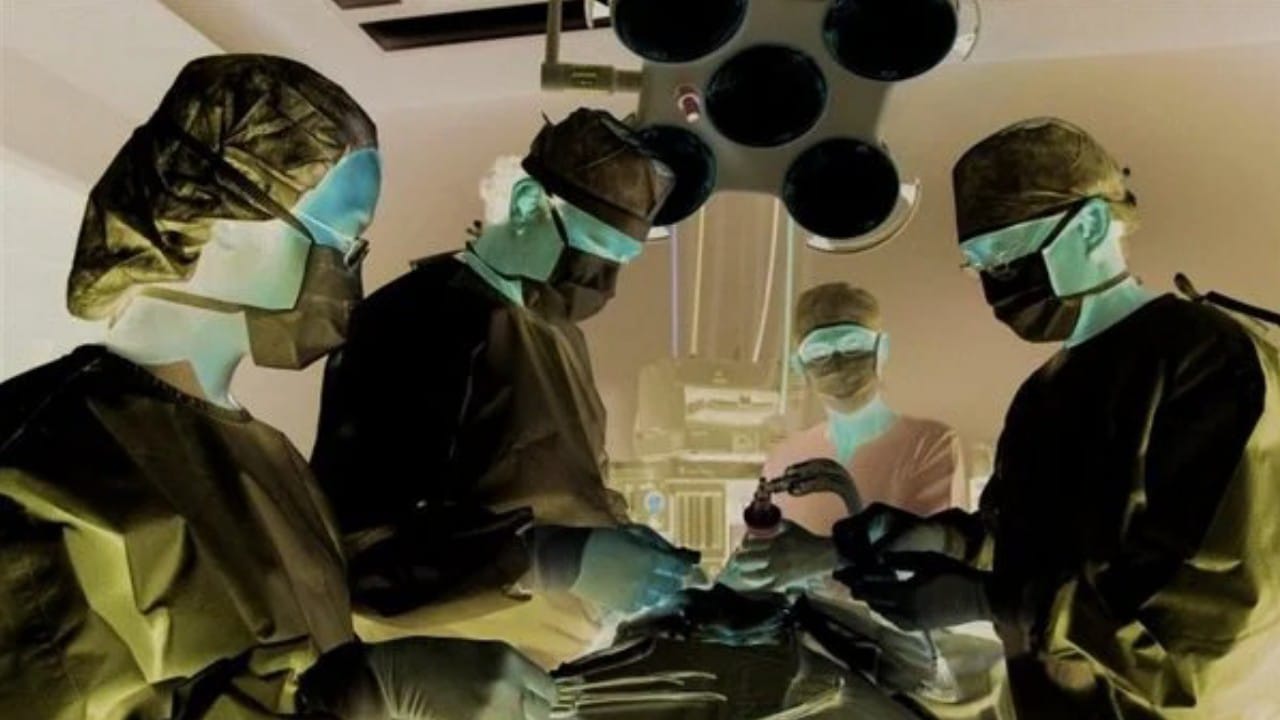 Successful cultivation of a genetically modified pig for a patient with kidney failure – ryan