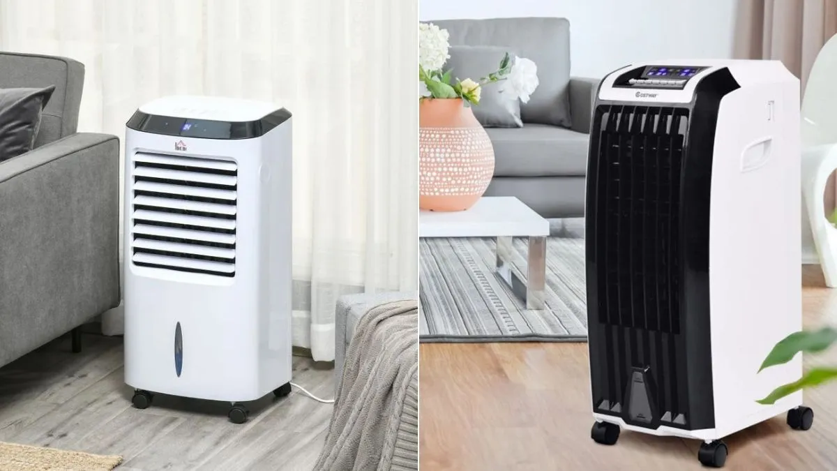 BEST CANDER COOLS: Options for each budget and room size