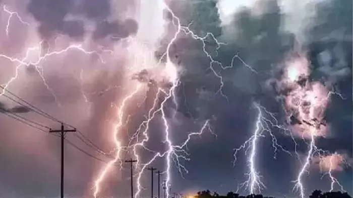 Look at a disaster from the sky! Two people have lost their lives due to lightning in Reasi, 40 to 50 sheep and sheep are also dead – two people and 50 animals have died due to lightning in Reasi Jammu Kashmir