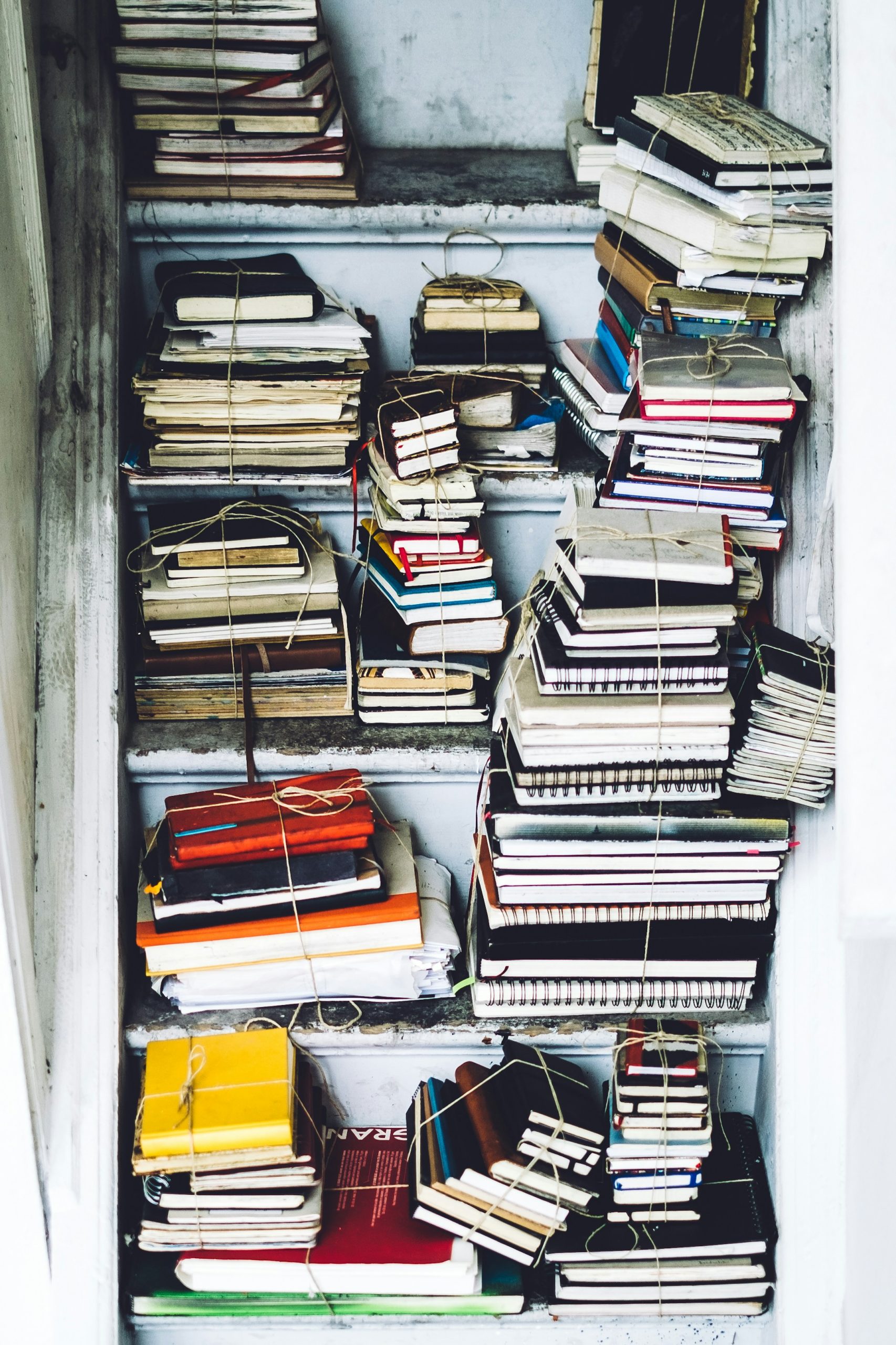 10 great writers and writers of Hindi