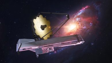 What’s the JWST-Cambridge Molecule Buzz All About? – ryan