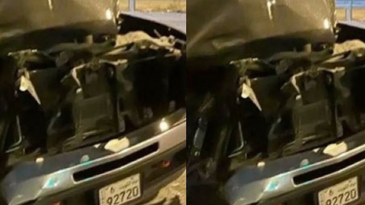 Fashionista is known after a terrible traffic collision – ryan