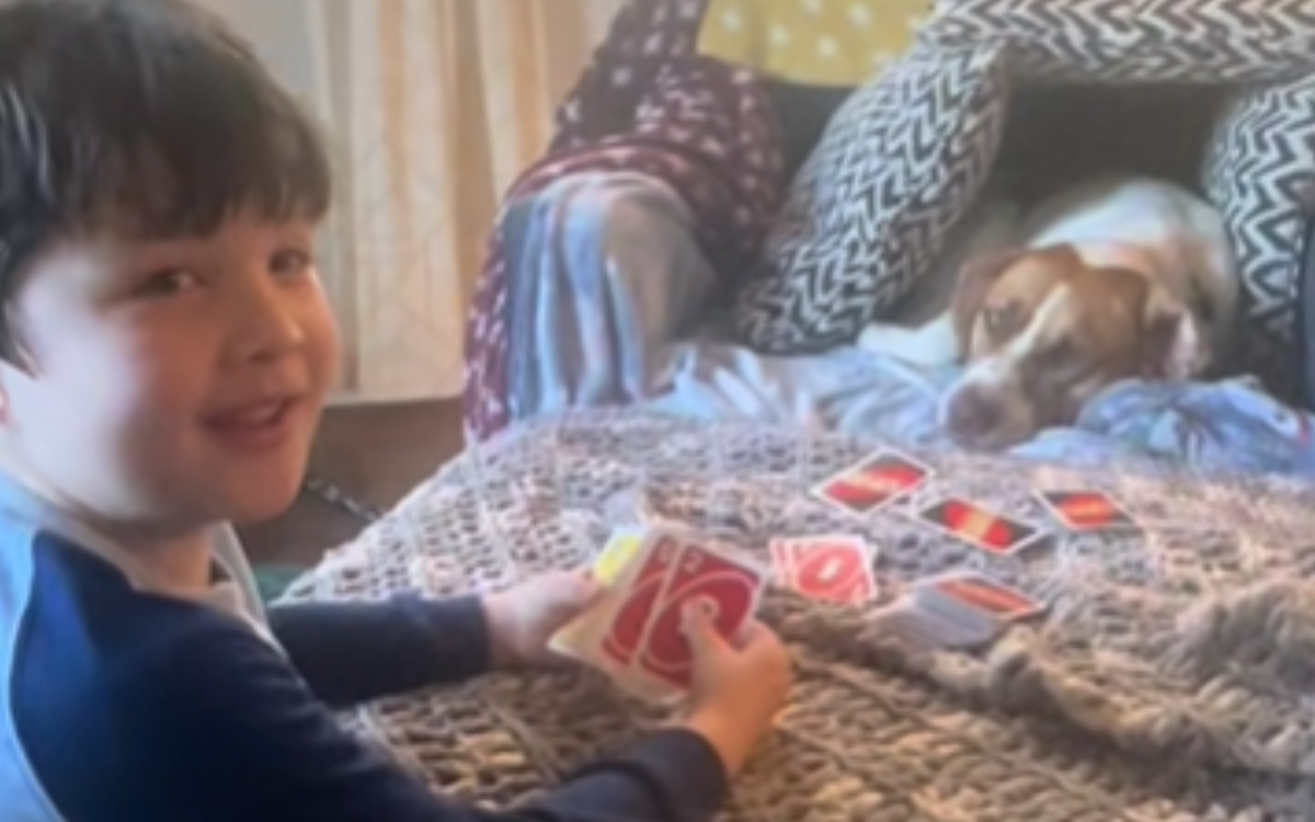 Rescue Dog Beats 5 Year Old at Uno, As Kid Admits ‘He’s Good at This Game’ – ryan