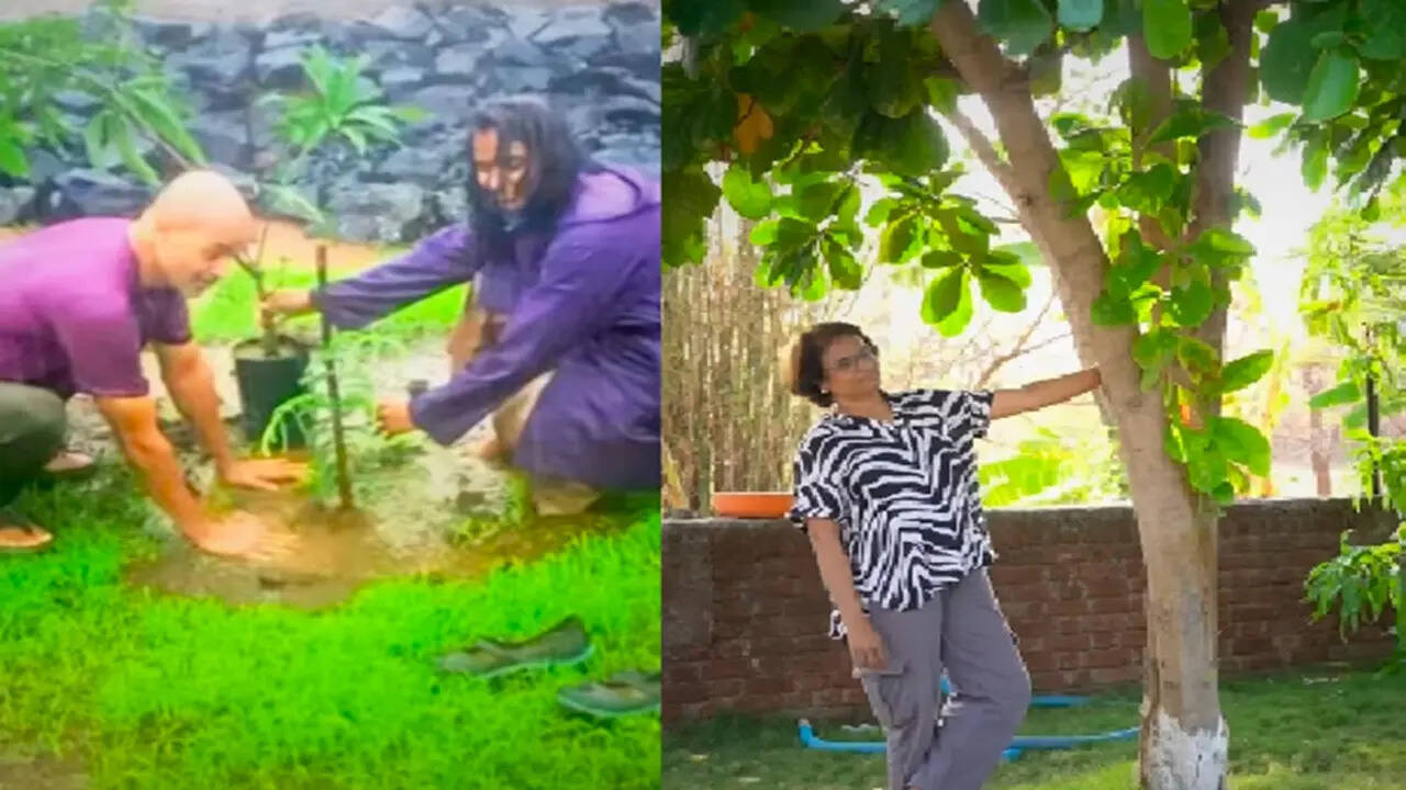 परेश मोकाशी मधुगंधा कुलकर्णी उभारतायत सुंदर, video शेअर करत म्हणाले, ” जमीन जमीन, घर बांधलं आता … ” – rya