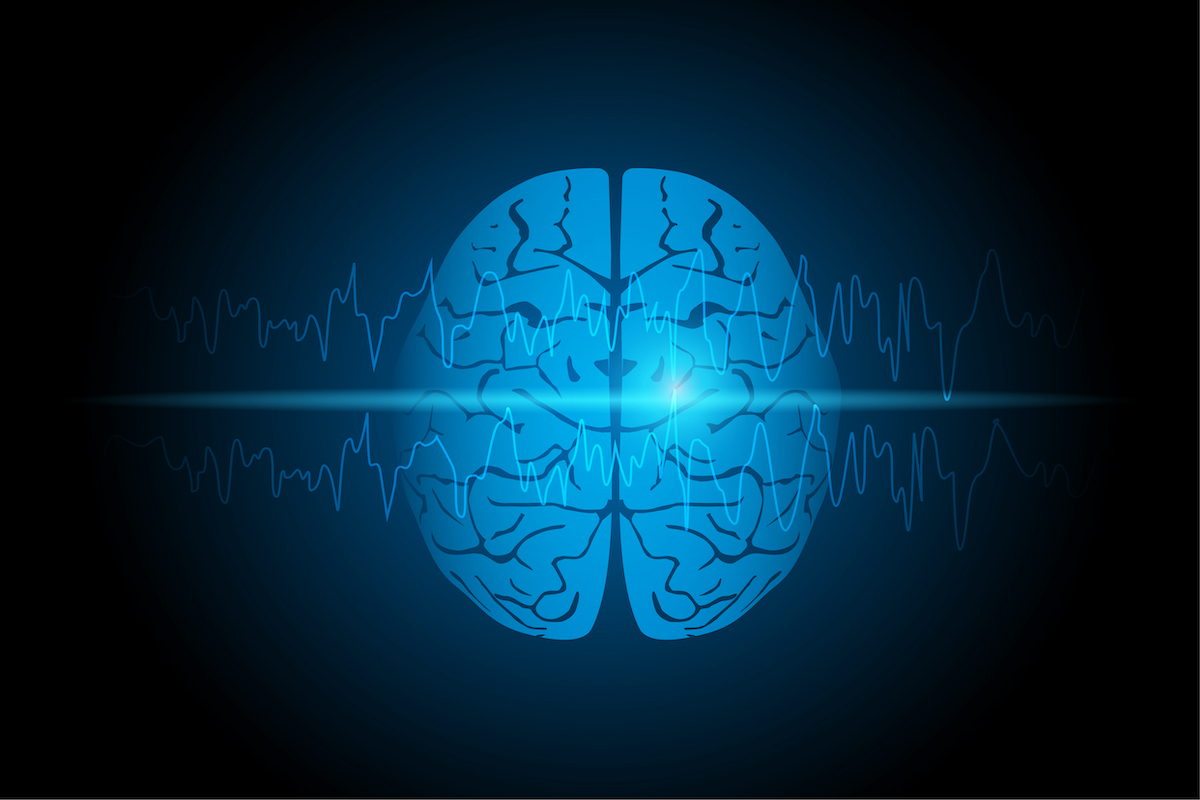 Neurons help Flush Waste Out of Brain During Sleep
