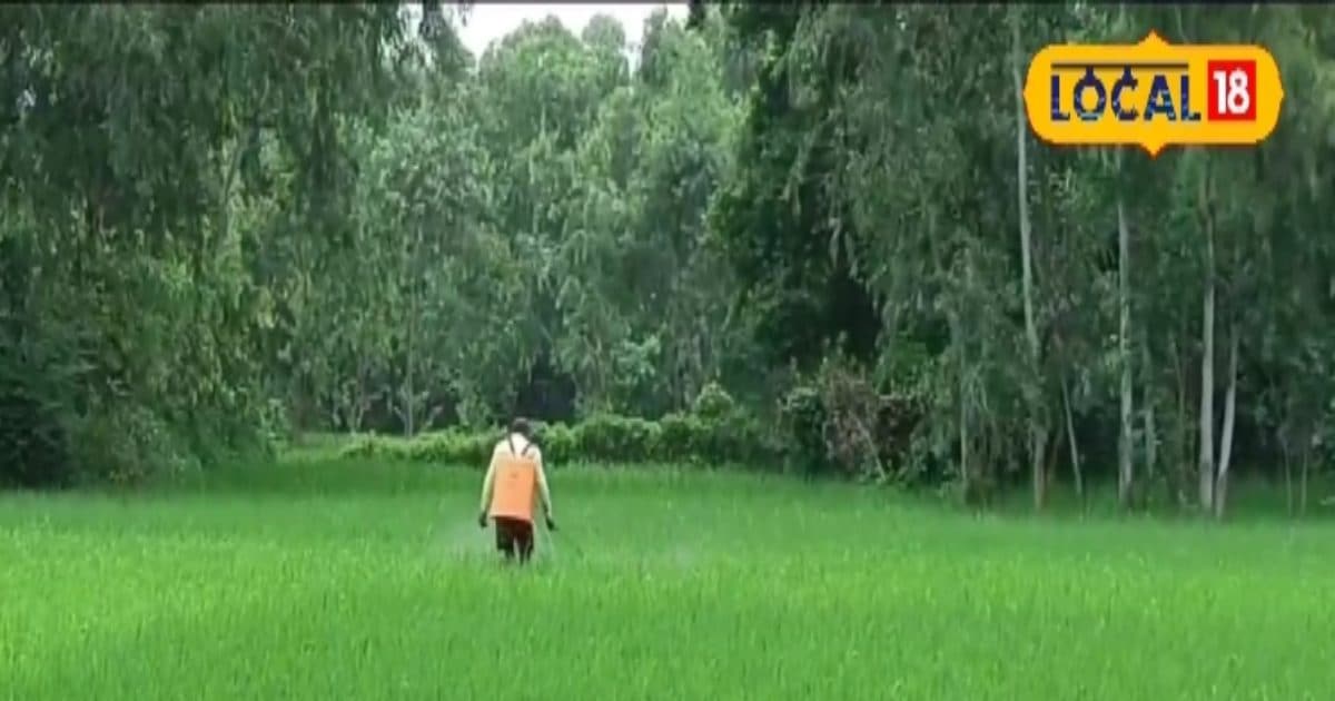 In the era in Puran, farmers said in a pinch how much water level is in the soil. Know what the trick was