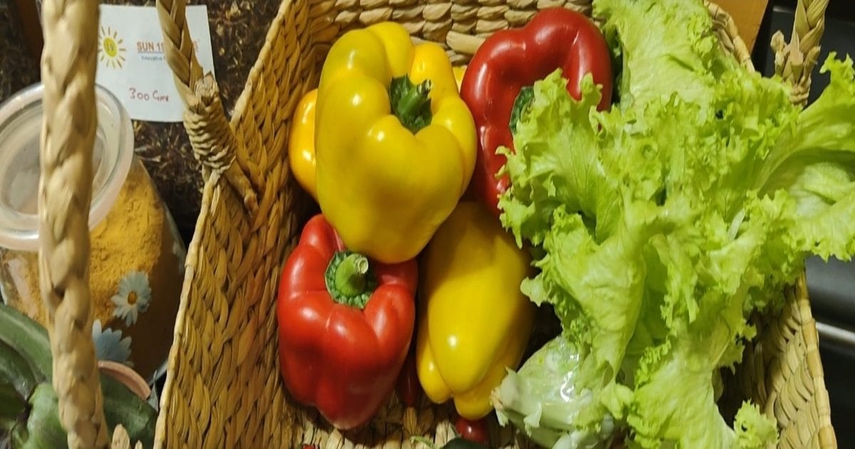 Health, taste and style, cherry tomato grows from hydroponies, everyone’s first choice