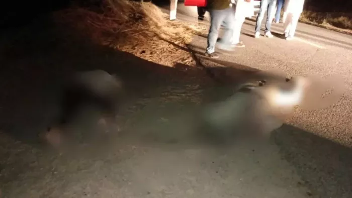 Punjab crime: Great actions in the murder of the father of the landlord, a case filed against family members of the MP Randhawa -tragic country -dispute prominent landowner and son who was shot dead in the criminal filed against family members of the MP S