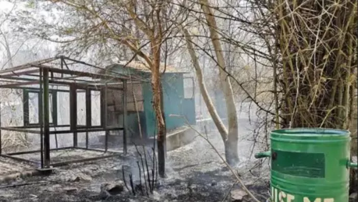 Udaipur: A fire broke out twice a month in a biological park, which is controlled after two hours of effort; Park temporarily closed – Brand broke out twice in biological park burgt under control after two hours of effort